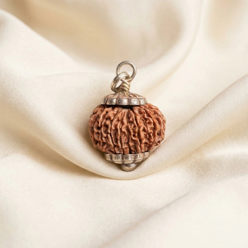 Natural 12 Mukhi Nepali Rudraksha – Surya's Leadership & Power