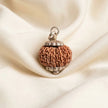Natural 12 Mukhi Nepali Rudraksha – Surya's Leadership & Power