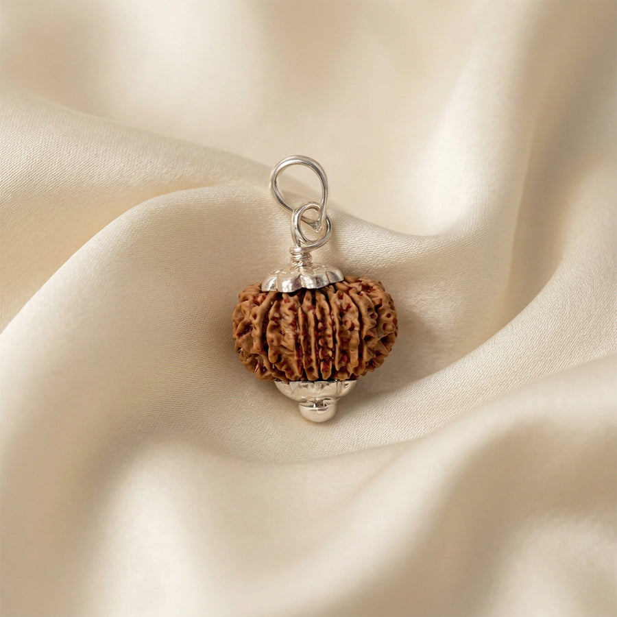 Natural 14 Mukhi Nepali Rudraksha – The Dev Mani for Divine Vision & Foresight