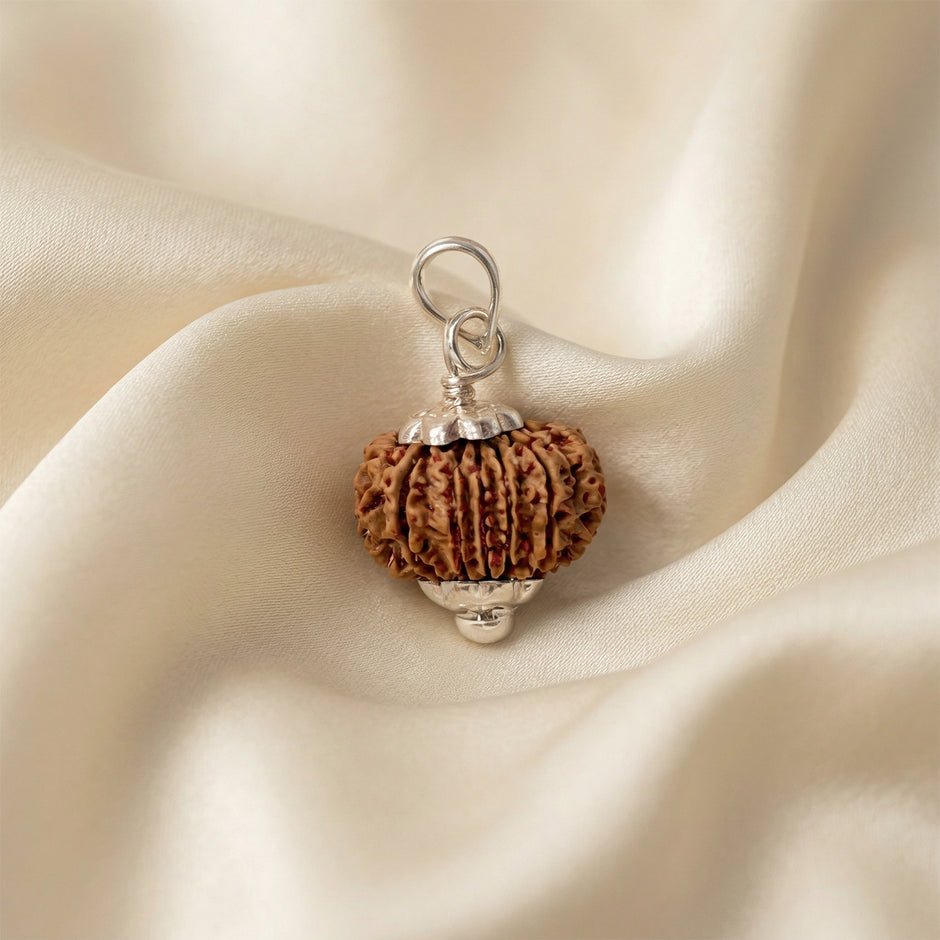 Natural 14 Mukhi Nepali Rudraksha – The Dev Mani for Divine Vision & Foresight