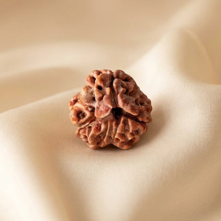 Natural 3 Mukhi Nepali Rudraksha – Confidence & Past Karma Healing