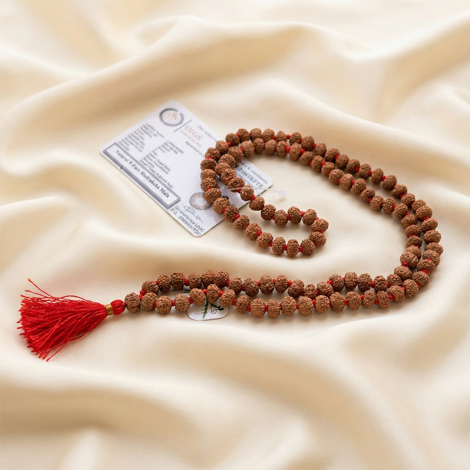 9 mukhi rudraksha mala