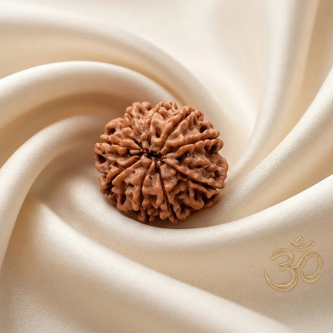 Natural 9 Mukhi Nepali Rudraksha – Power & Protection