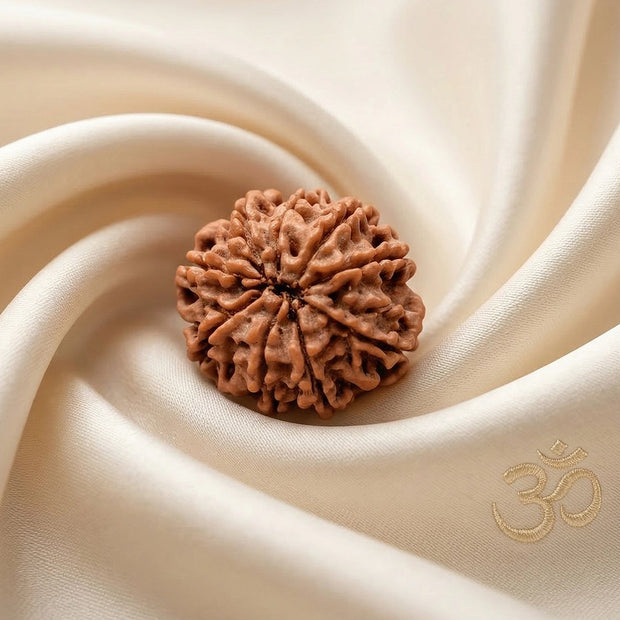 Natural 9 Mukhi Nepali Rudraksha – Power & Protection