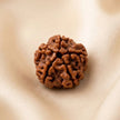 Natural 5 Mukhi Nepali Rudraksha – Peace & Protection