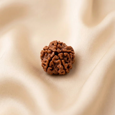 Natural 5 Mukhi Nepali Rudraksha – Peace & Protection