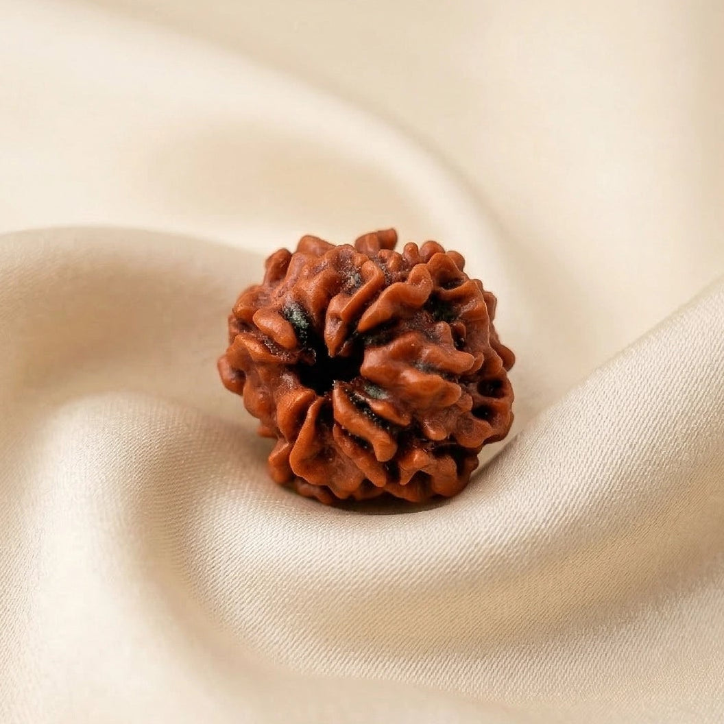 Natural 4 Mukhi Nepali Rudraksha – Focus & Intelligence