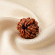 Natural 4 Mukhi Nepali Rudraksha – Focus & Intelligence