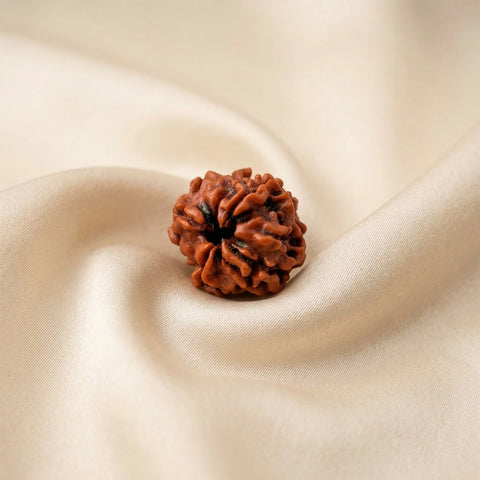 Natural 4 Mukhi Nepali Rudraksha – Focus & Intelligence