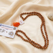 5 mukhi rudraksha mala