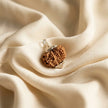 Natural 13 Mukhi Nepali Rudraksha – Attraction, Confidence & Success