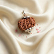 Natural 11 Mukhi Nepali Rudraksha – Lord Hanuman's Courage & Wisdom