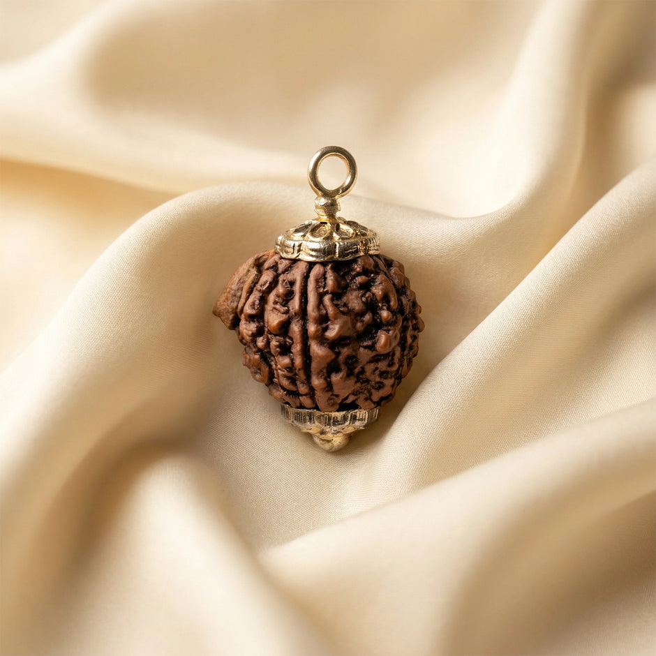 Natural Ganesh Rudraksha – Obstacle Removal & Success
