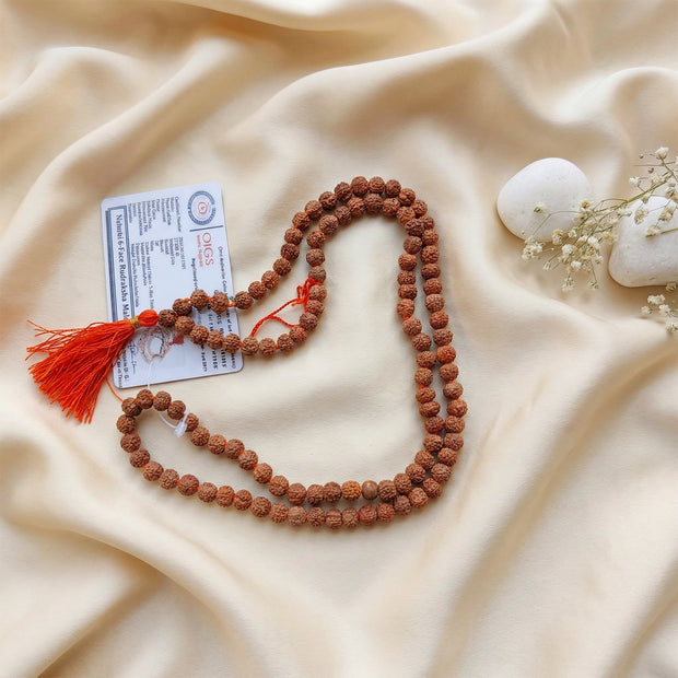 6 mukhi rudraksha mala
