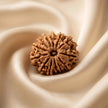 Natural 13 Mukhi Nepali Rudraksha – Attraction, Confidence & Success
