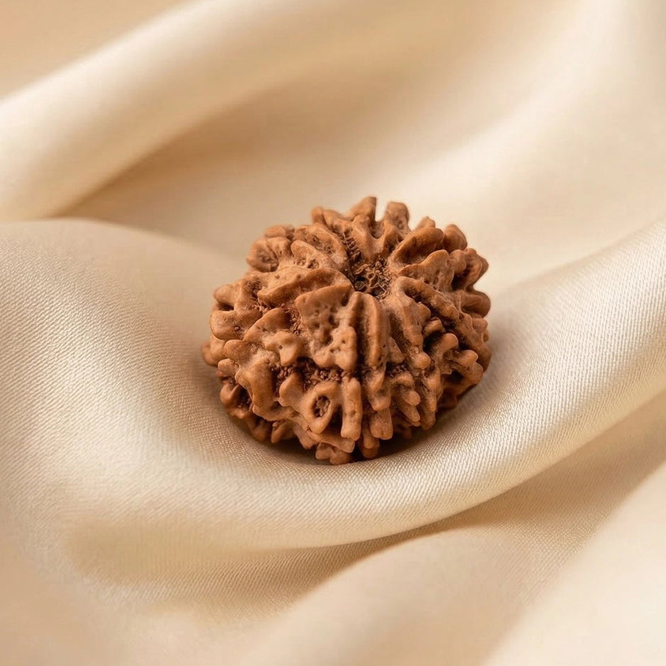 Natural 8 Mukhi Nepali Rudraksha – Success & Obstacle Removal