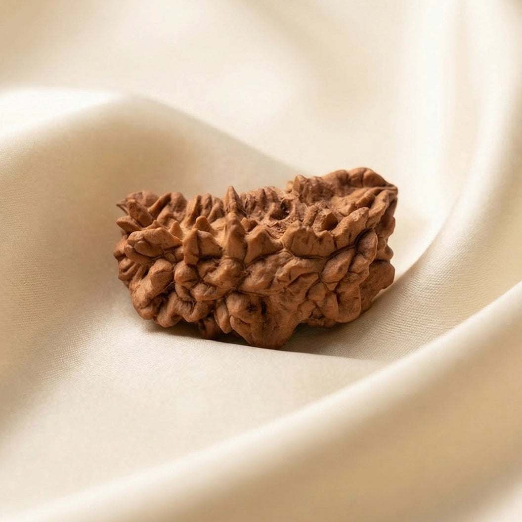 Natural 1 Mukhi Rameswaram Rudraksha – Spiritual Clarity & Meditation