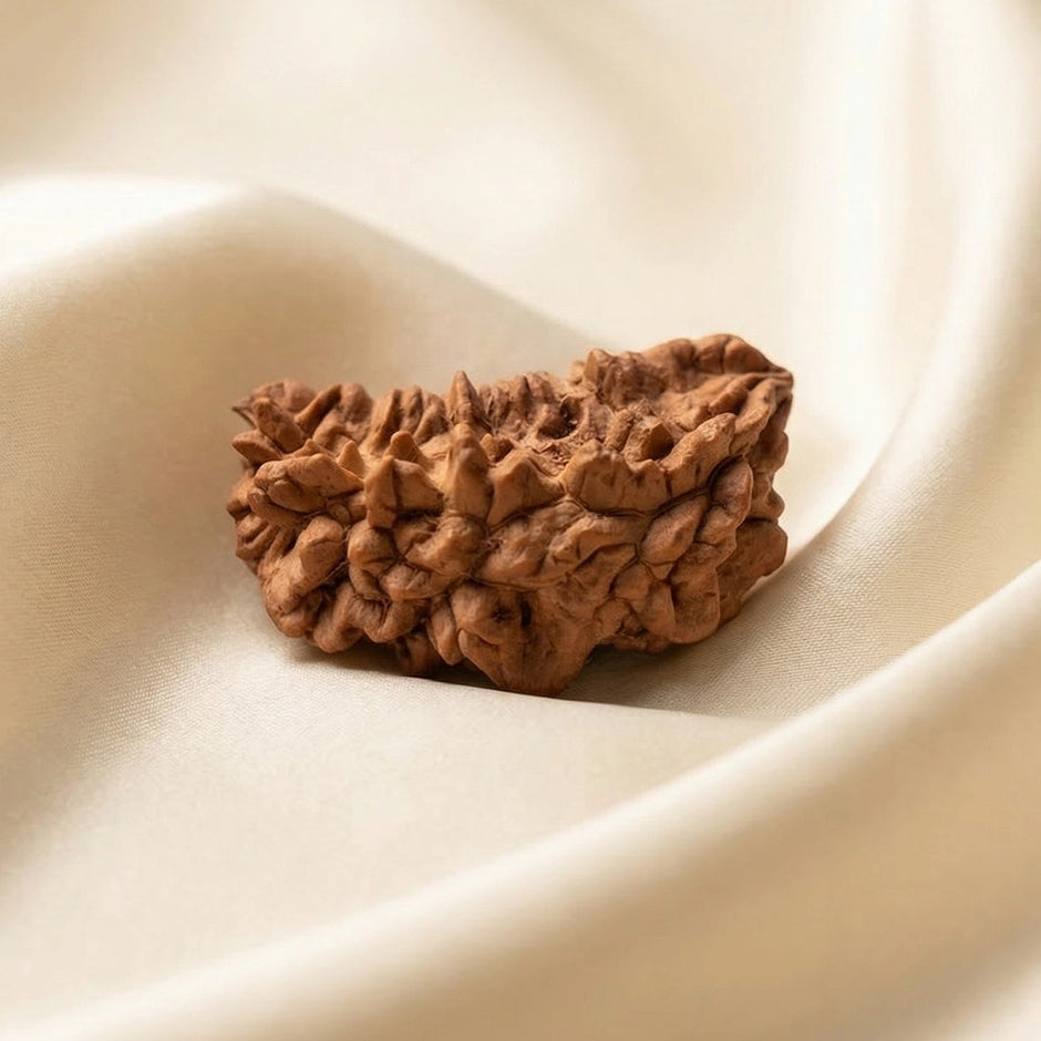 Natural 1 Mukhi Rameswaram Rudraksha – Spiritual Clarity & Meditation