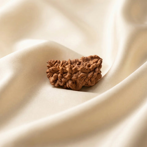 Natural 1 Mukhi Rameswaram Rudraksha – Spiritual Clarity & Meditation