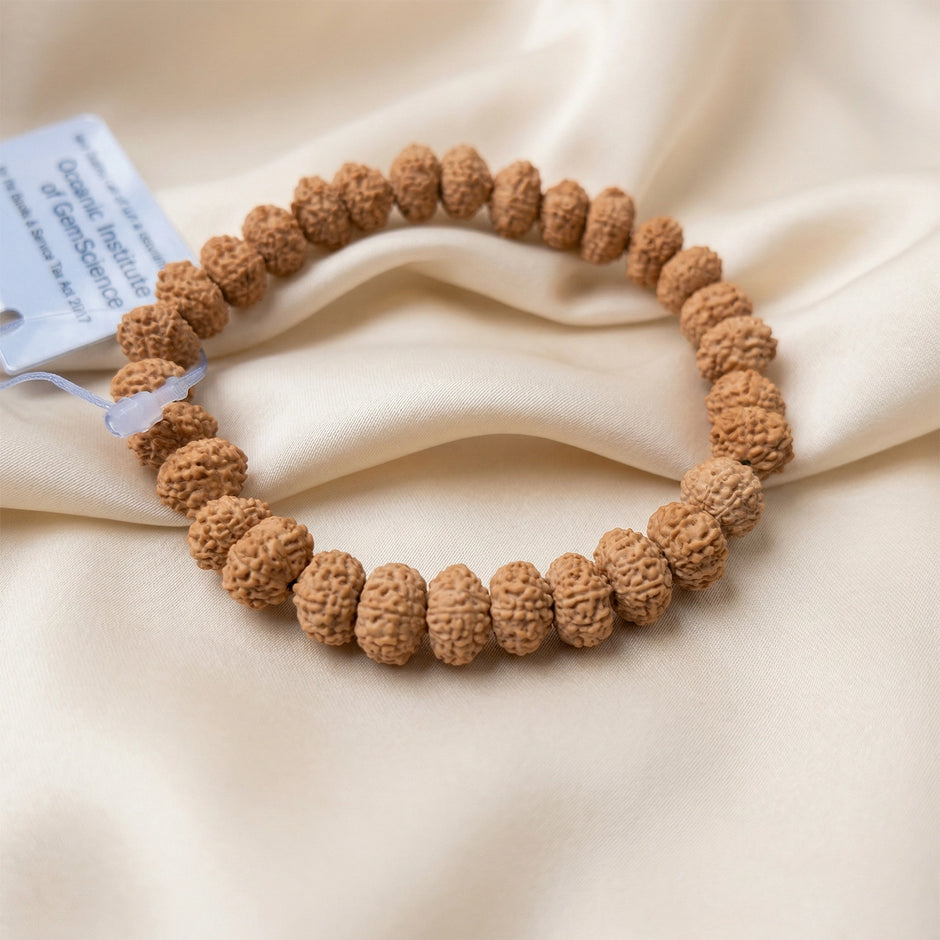 10 Mukhi Rudraksha Bracelet