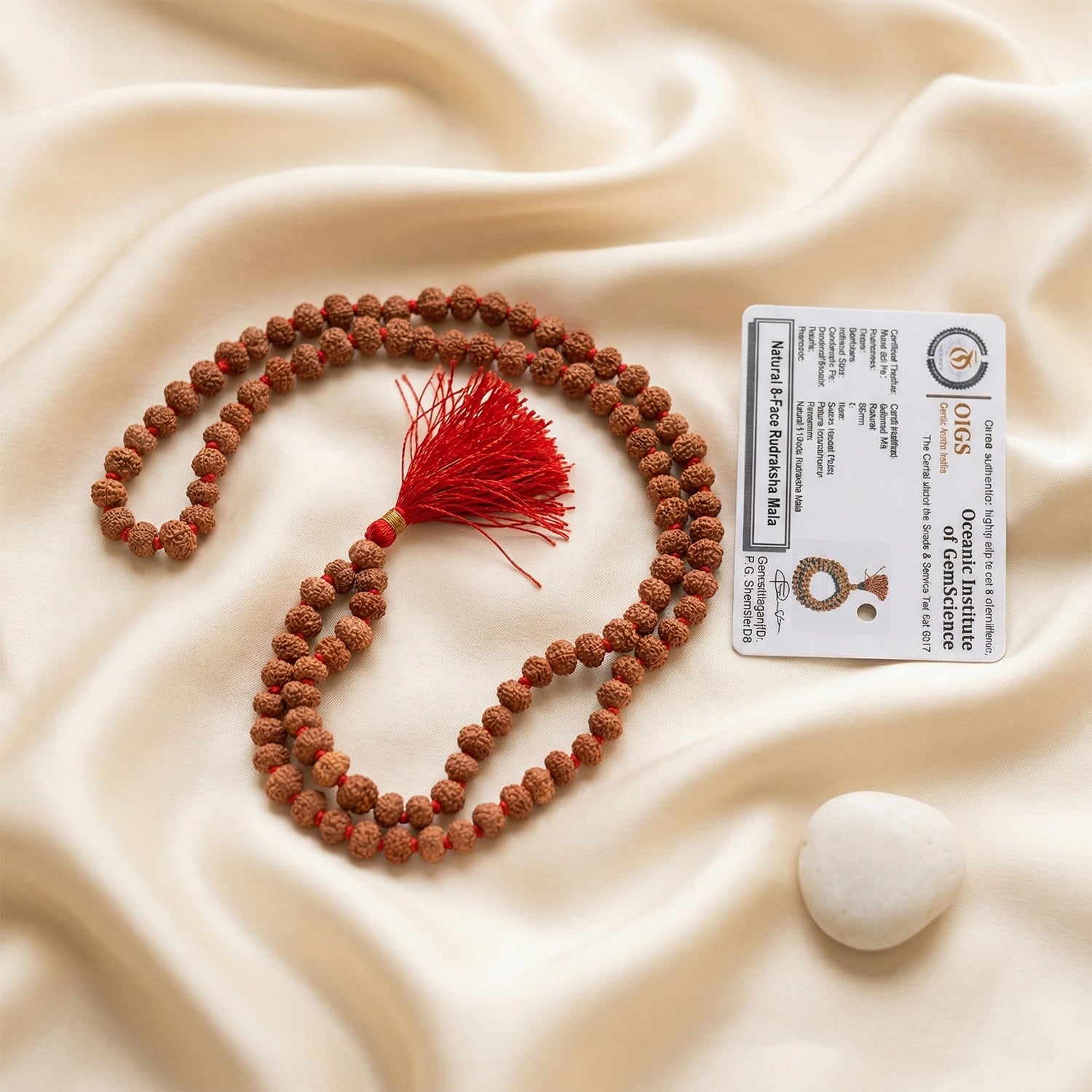 8 mukhi rudraksha mala