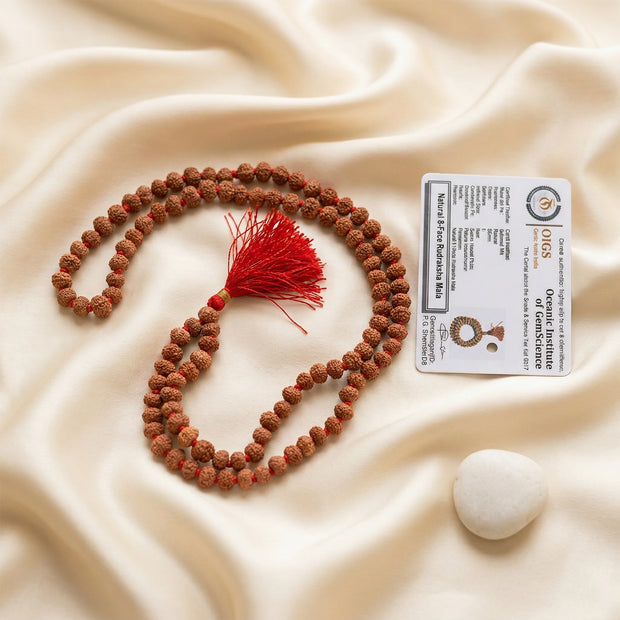 8 mukhi rudraksha mala