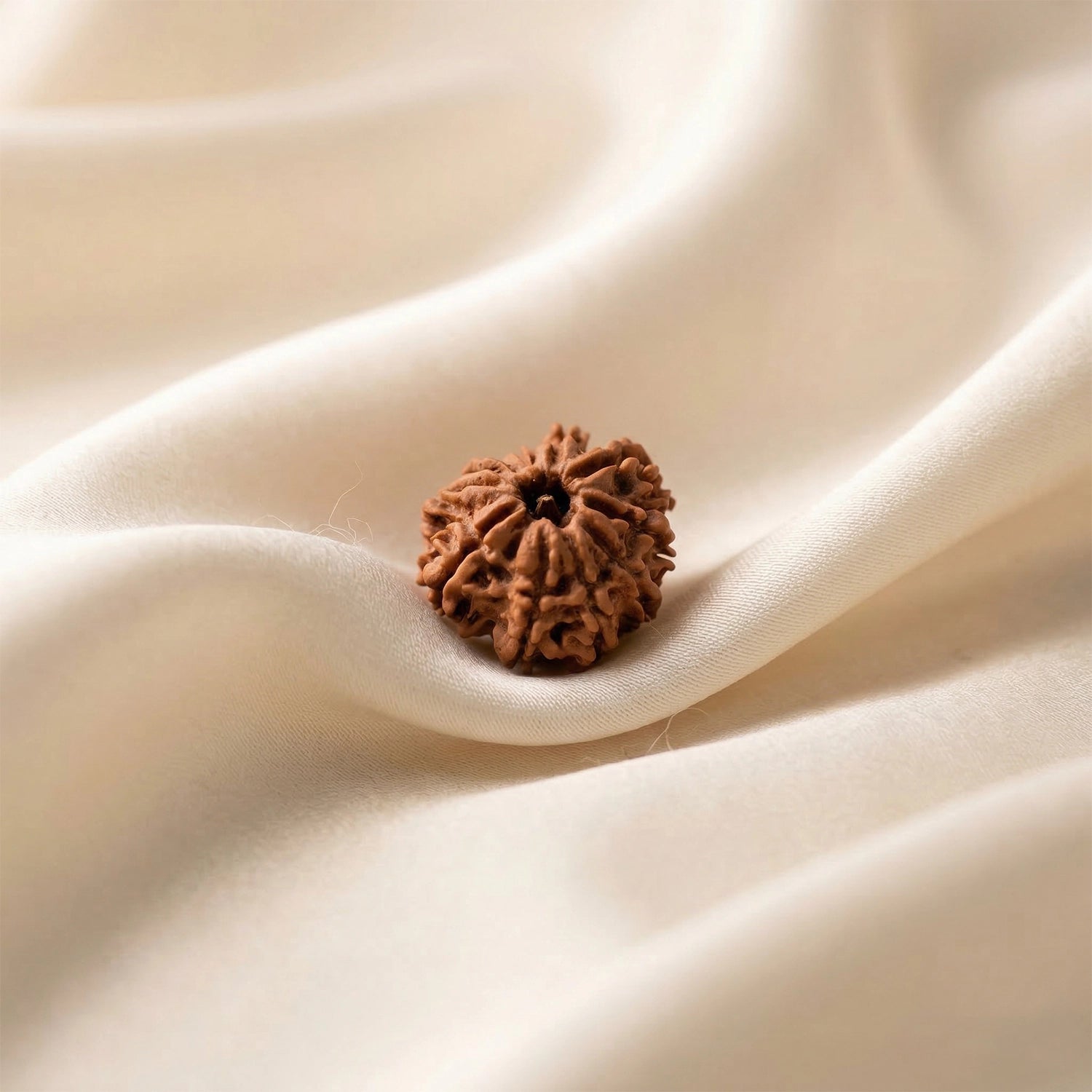Natural 11 Mukhi Nepali Rudraksha – Lord Hanuman's Courage & Wisdom