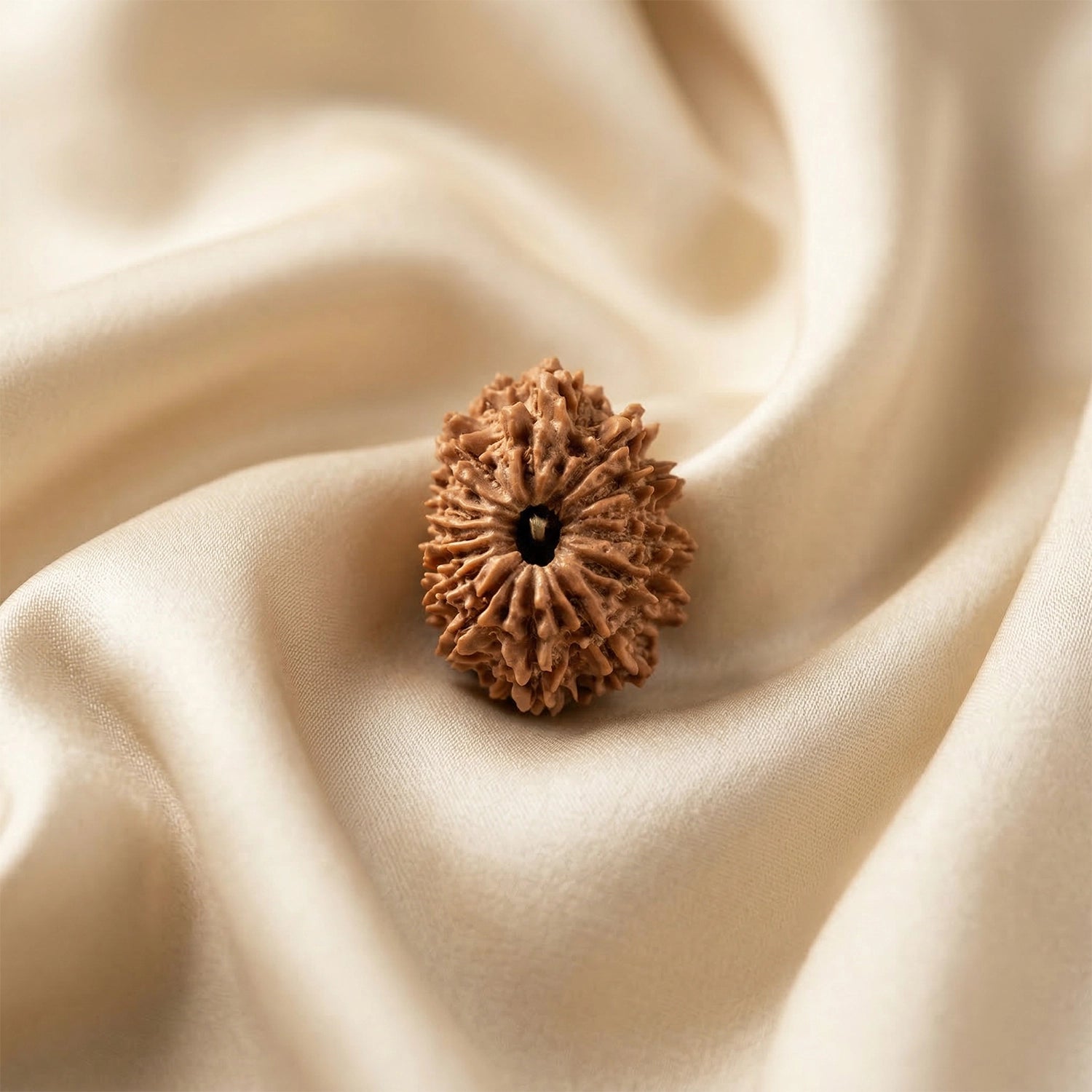 Natural 14 Mukhi Nepali Rudraksha – The Dev Mani for Divine Vision & Foresight