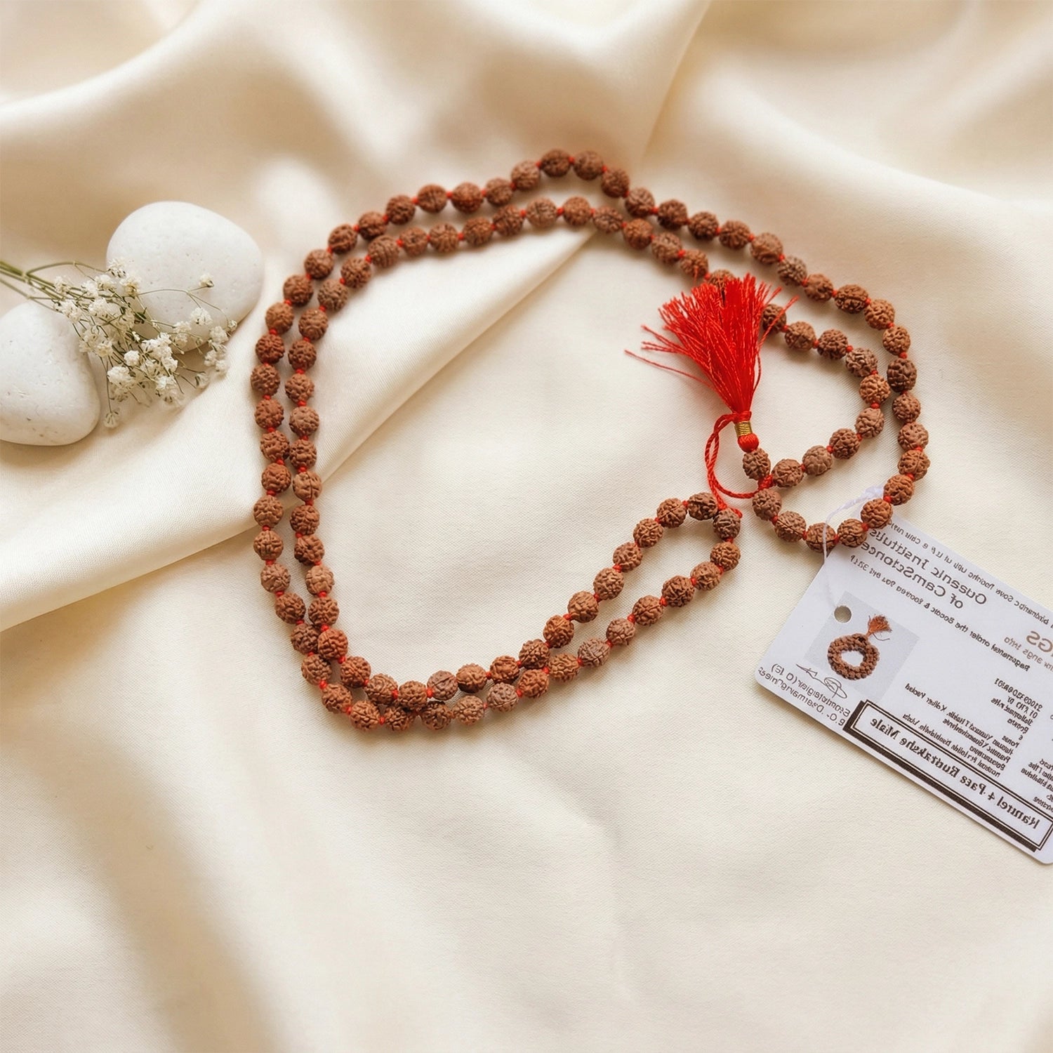 4 mukhi rudraksha mala