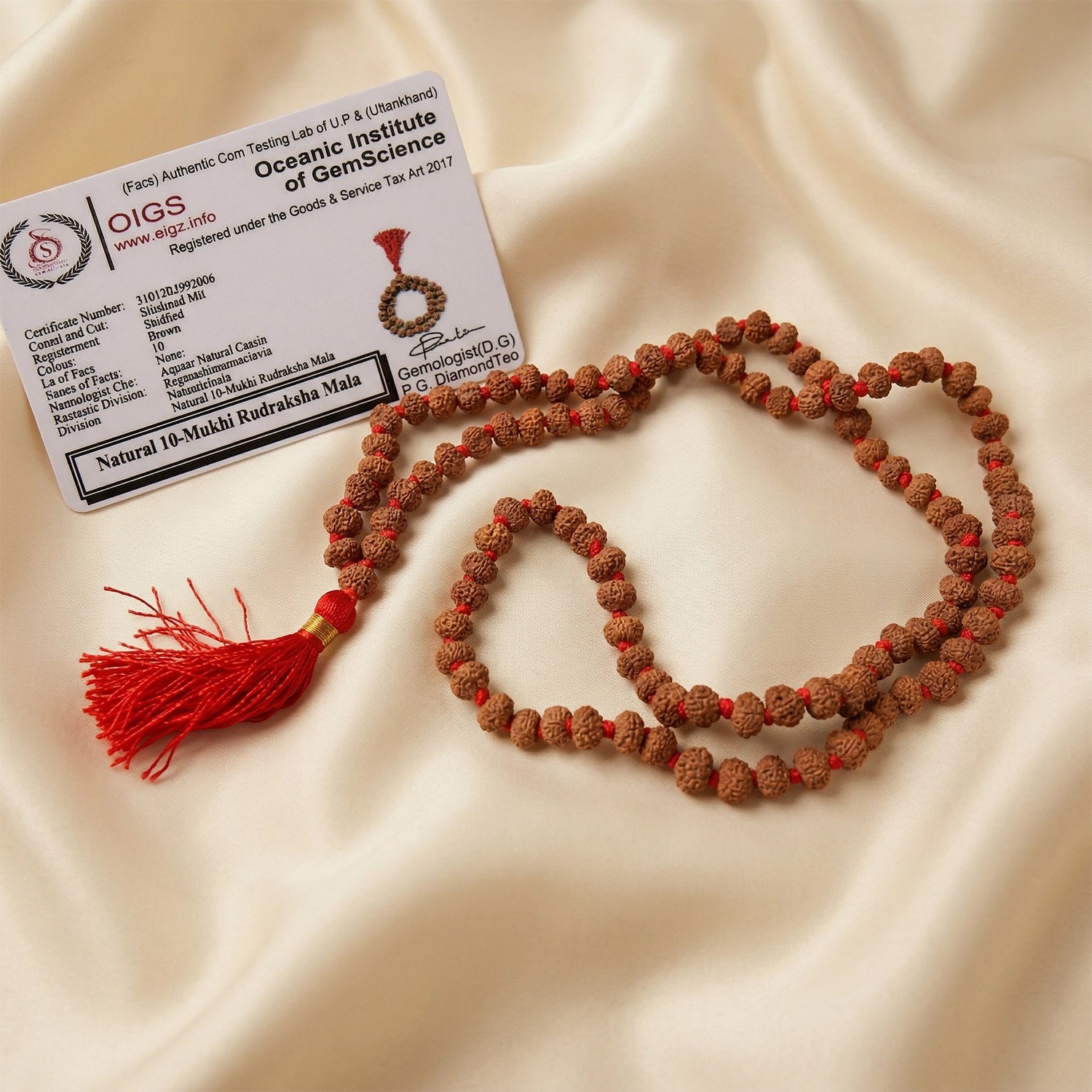 10 mukhi rudraksha mala