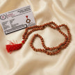 10 mukhi rudraksha mala