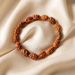 2 Mukhi Rudraksha Bracelet