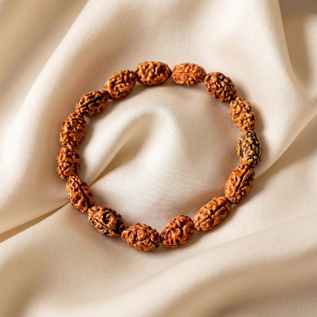 2 Mukhi Rudraksha Bracelet