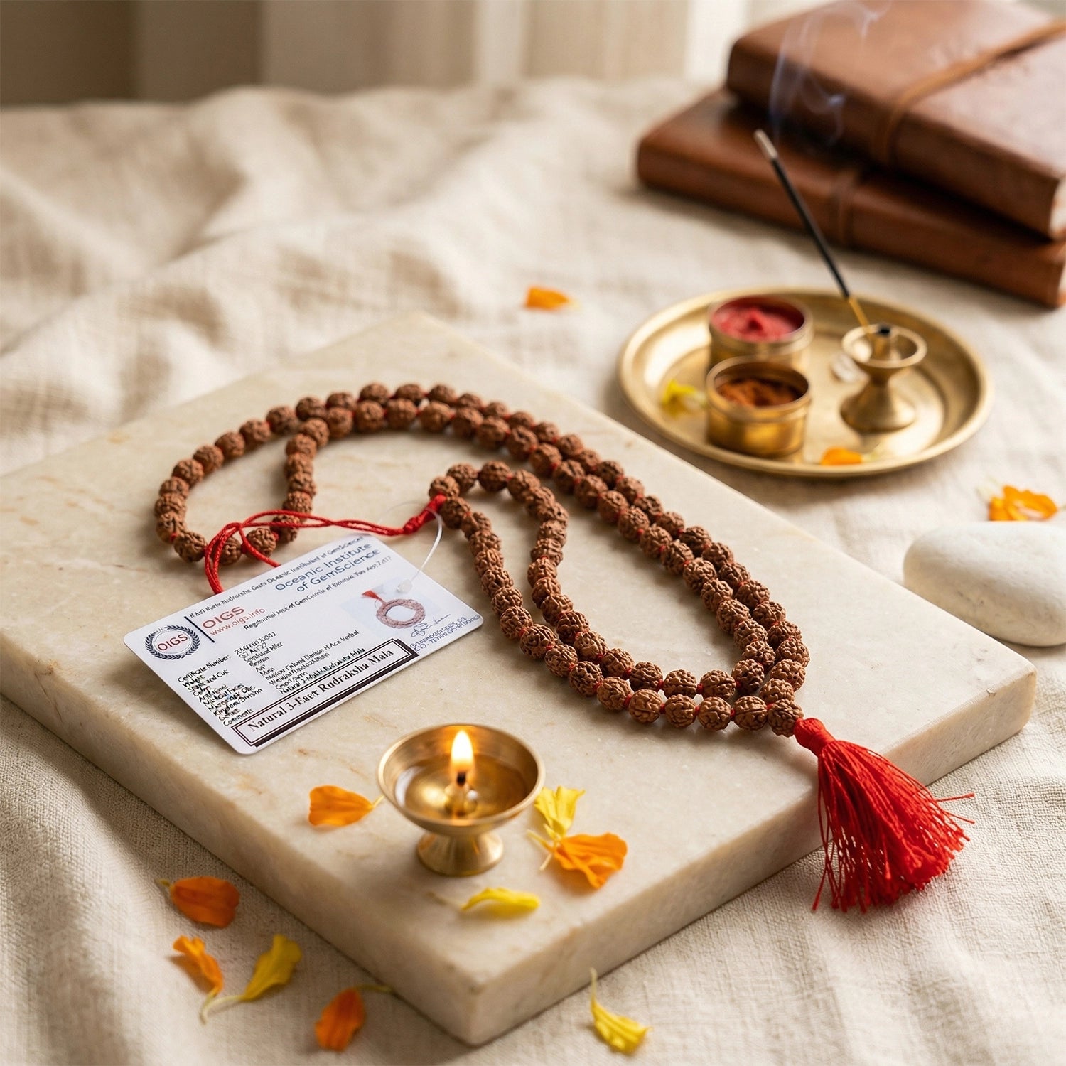3 mukhi rudraksha mala