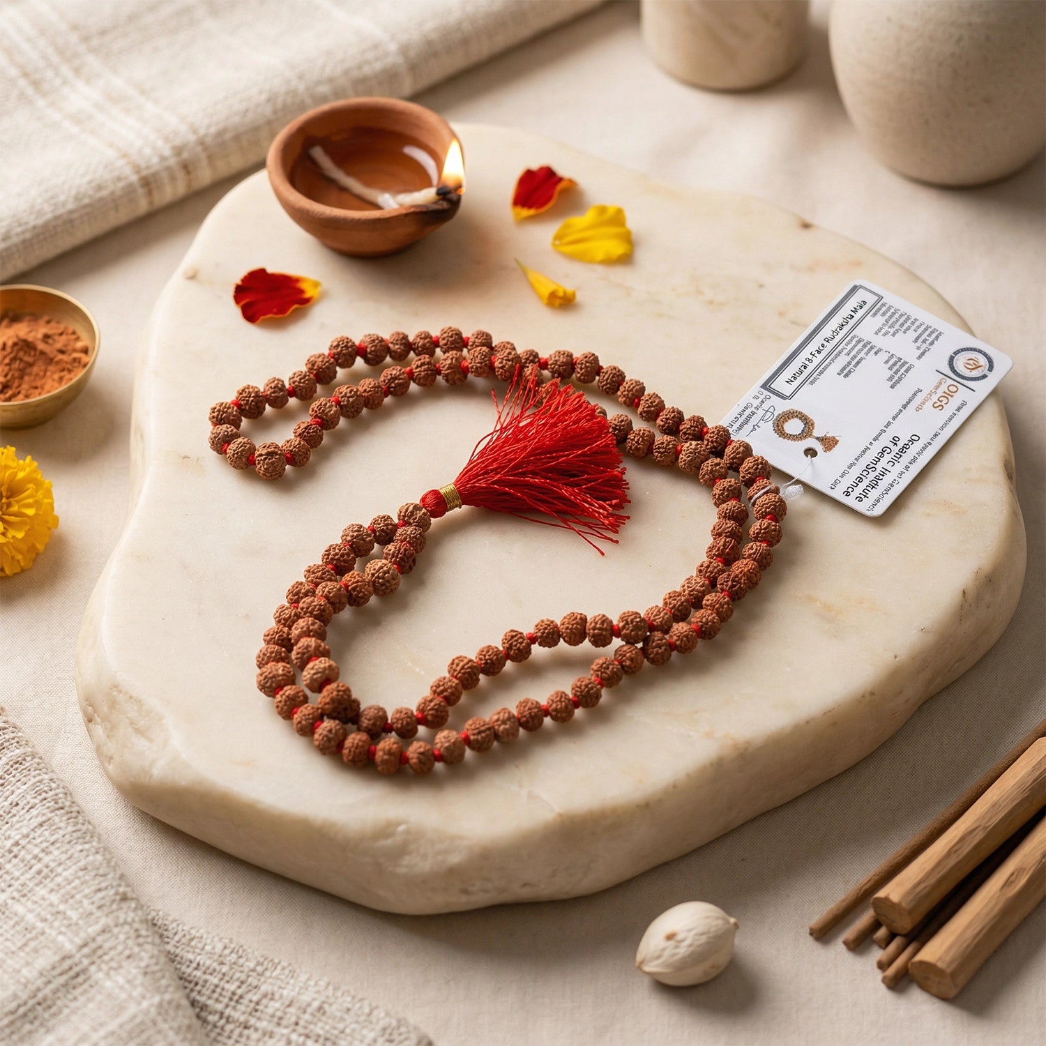 8 mukhi rudraksha mala