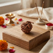 Natural Ganesh Rudraksha – Obstacle Removal & Success