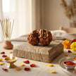 Natural Gauri Shankar Rudraksha – Love, Harmony & Relationship Healing