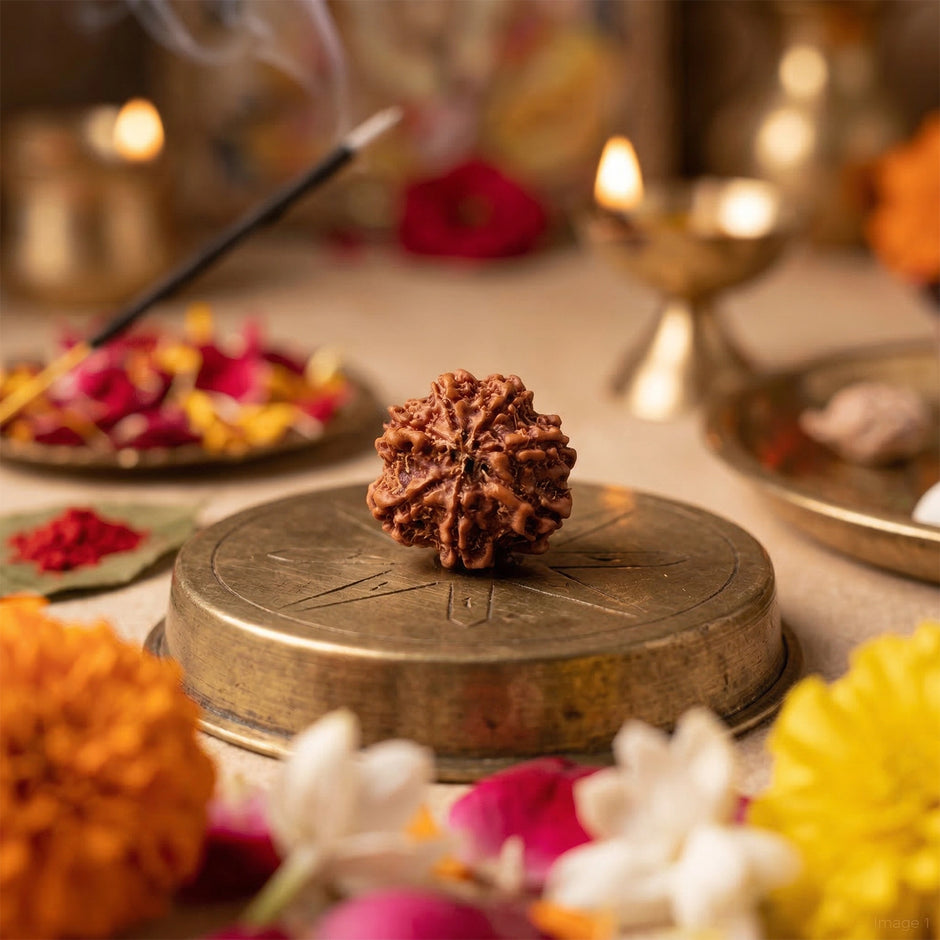 Natural 7 Mukhi Nepali Rudraksha – Wealth & Stability
