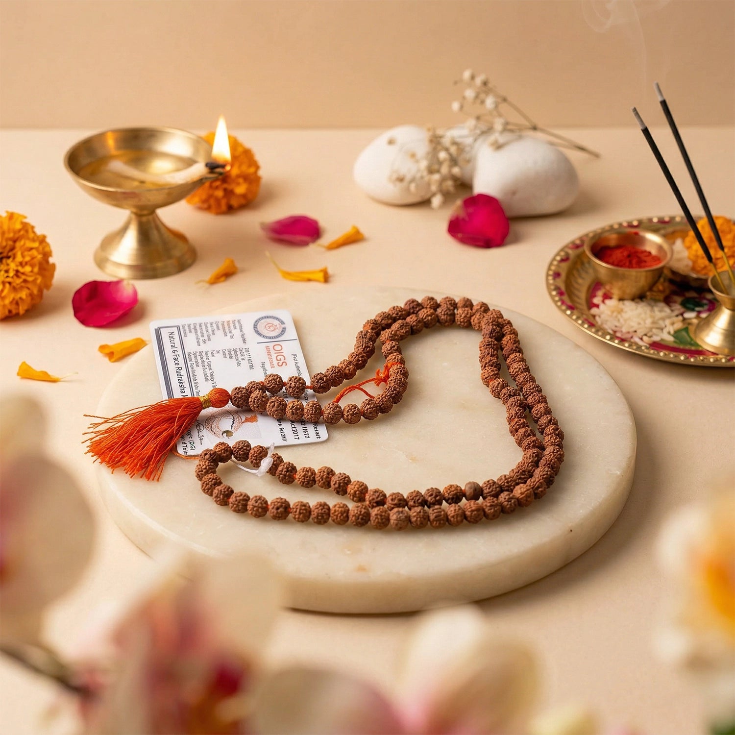 6 mukhi rudraksha mala