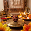 Natural 5 Mukhi Nepali Rudraksha – Peace & Protection
