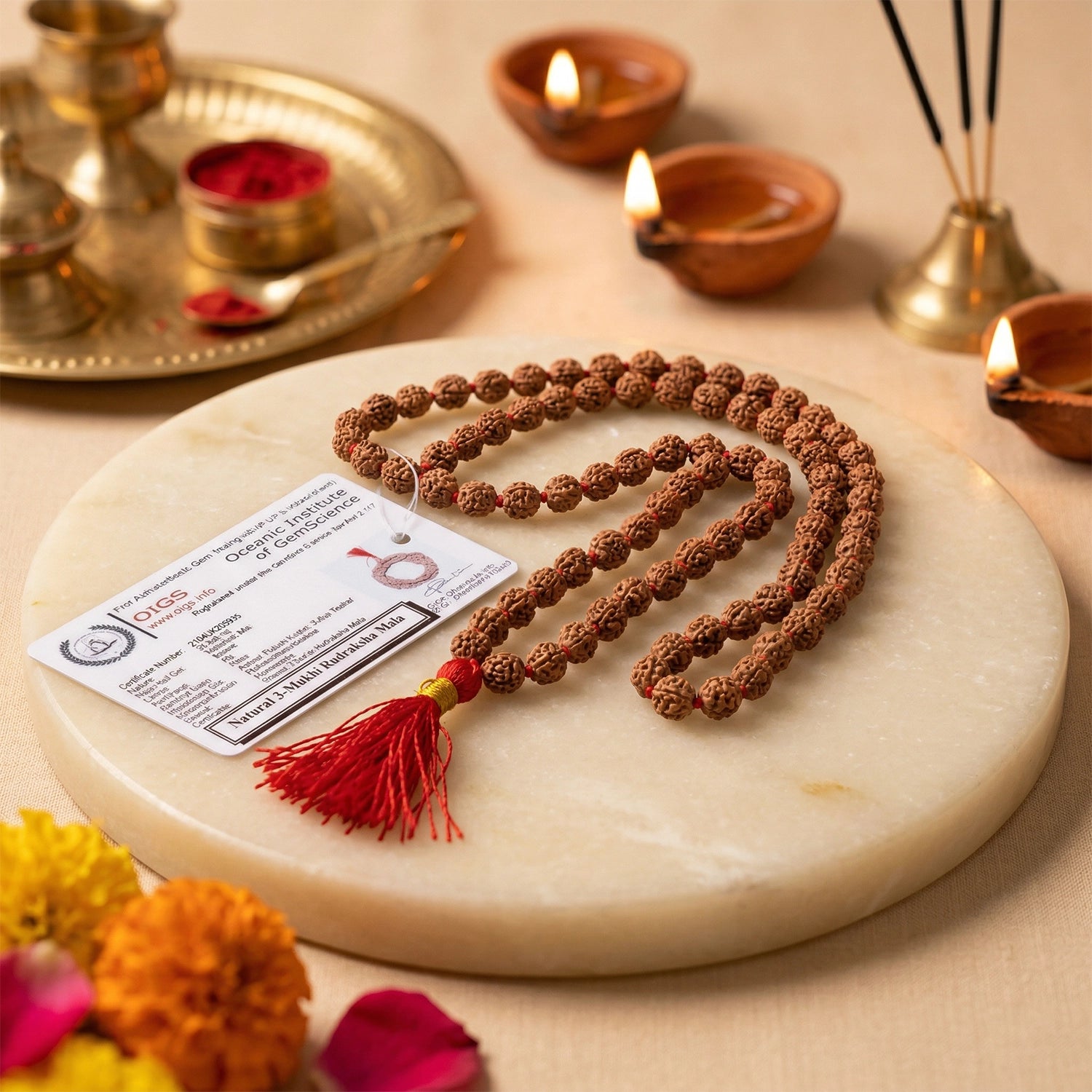 3 mukhi rudraksha mala