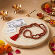 10 mukhi rudraksha mala