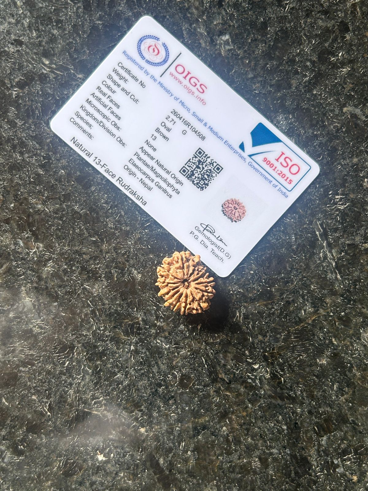 Natural 13 Mukhi Nepali Rudraksha – Attraction, Confidence & Success